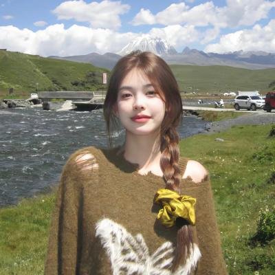 新九品芝麻官2006